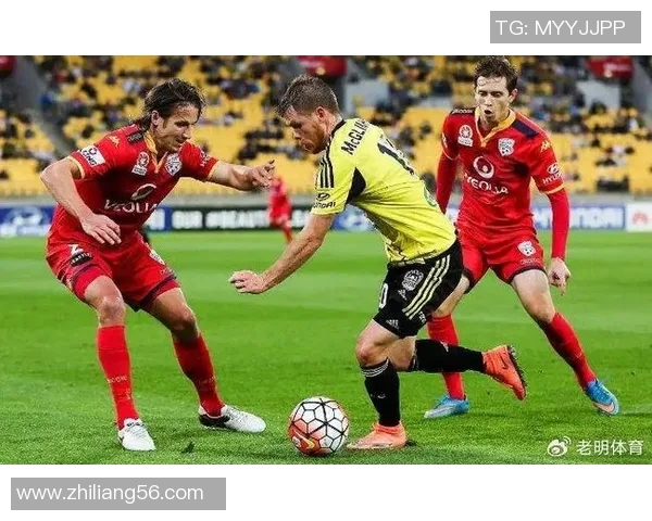 不莱梅与霍芬海姆激战成平局双方各取一分精彩对决回顾