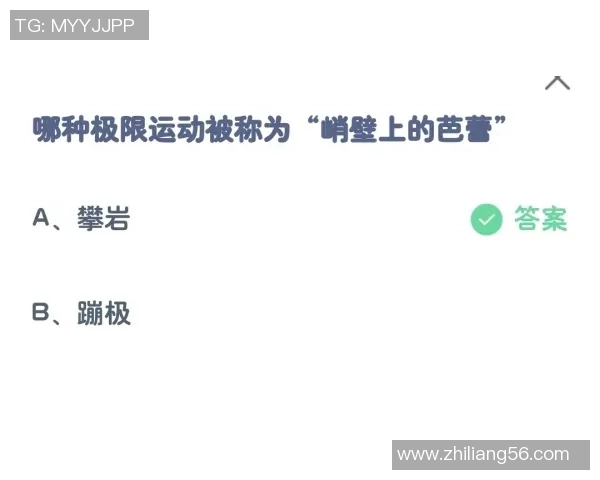 深圳极限运动队灵活性研究与实践探索的深度分析与启示