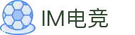 IM(股份有限公司)电竞-电子竞技平台